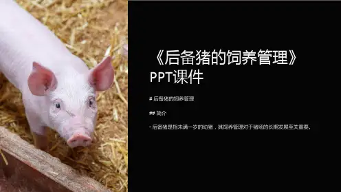 《后备猪的饲养管理》课件