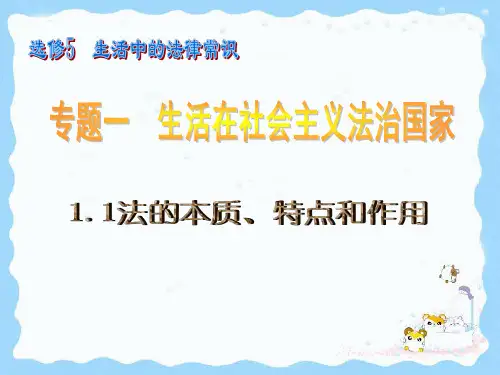 人教版高中思想政治必修5《法的本质、特点和作用》课件