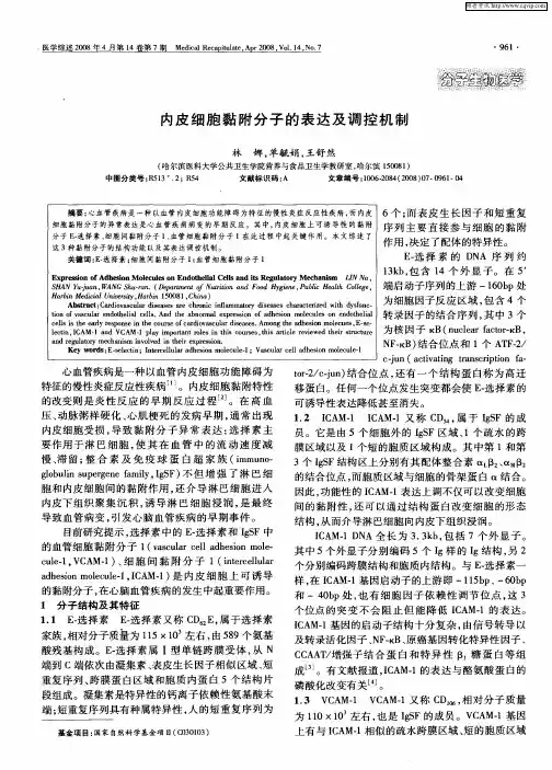 内皮细胞黏附分子的表达及调控机制