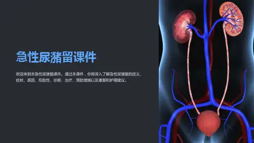 急性尿潴留课件