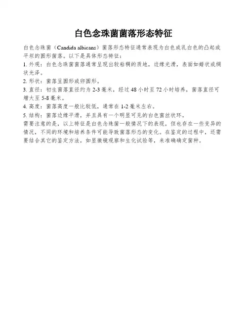 白色念珠菌菌落形态特征
