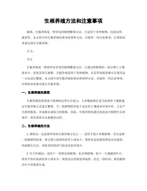 生根养殖方法和注意事项