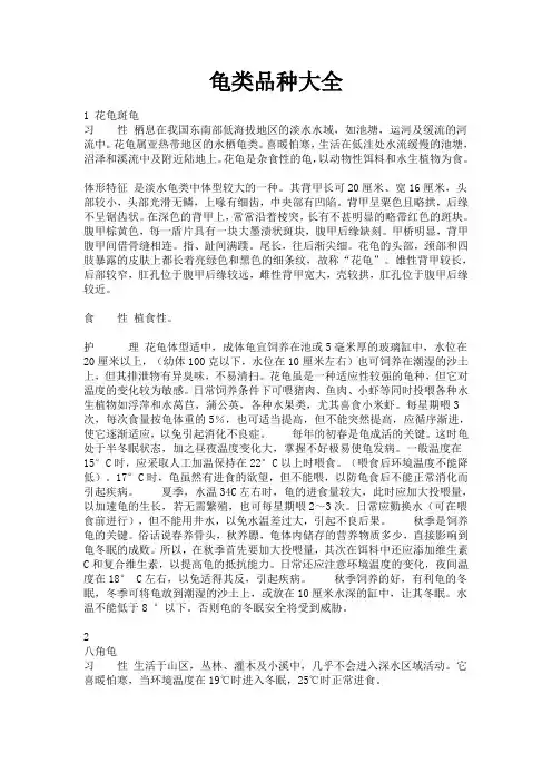 龟类品种大全(298种--附图及说明)