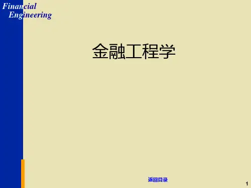 金融工程学PPT课件