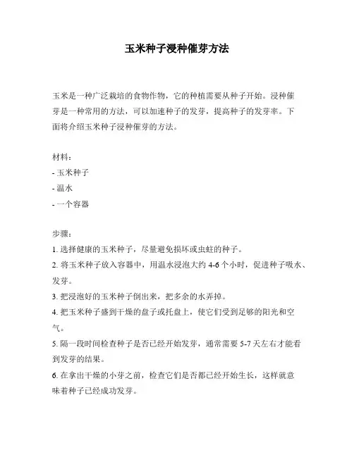 玉米种子浸种催芽方法