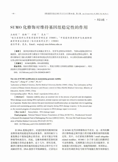SUMO化修饰对维持基因组稳定性的作用