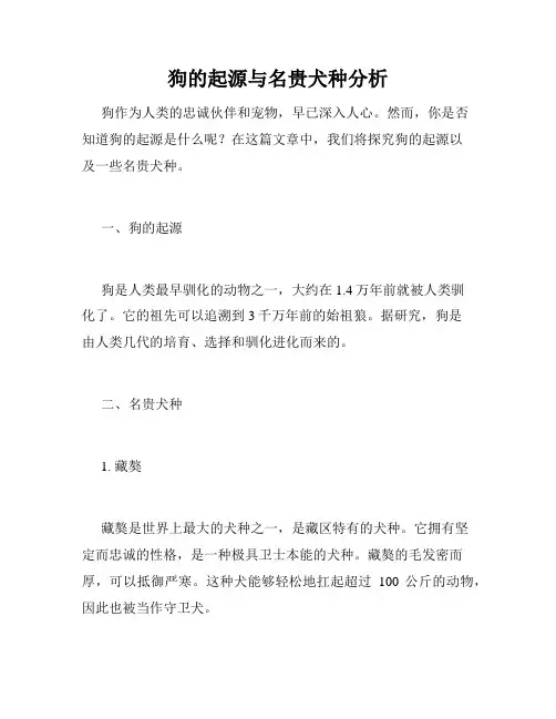 狗的起源与名贵犬种分析 