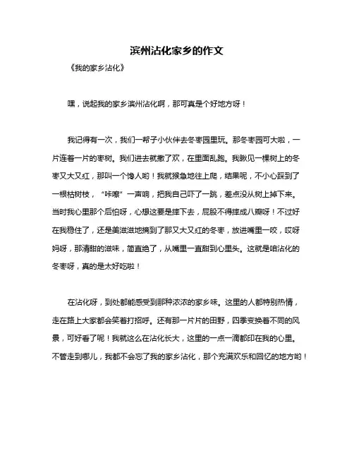 滨州沾化家乡的作文