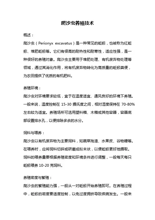 爬沙虫养殖技术