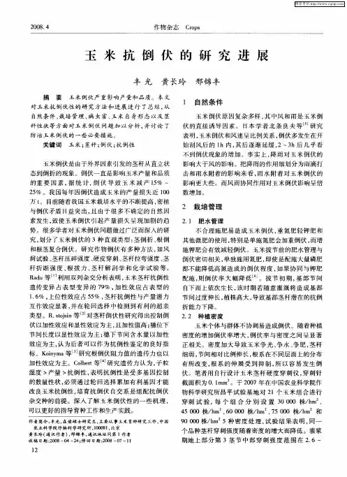 玉米抗倒伏的研究进展