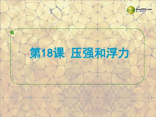浙江省苍南县括山学校中考物理 压强和浮力复习课件 新人教版