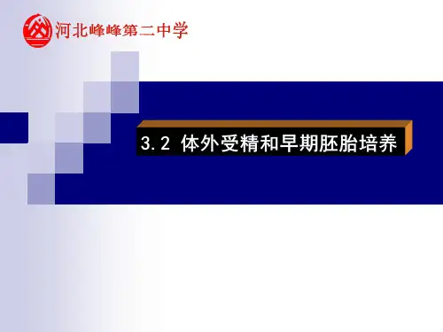 3.2 体外受精和早期胚胎培养 课件 人教版高中生物选修三