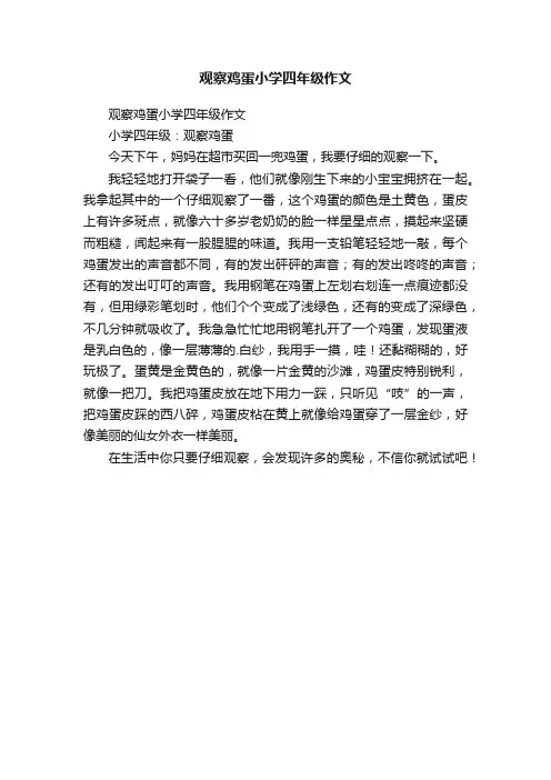 观察鸡蛋小学四年级作文