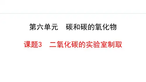人教版九年级化学上册《二氧化碳的实验室制取》碳和碳的氧化物PPT课件