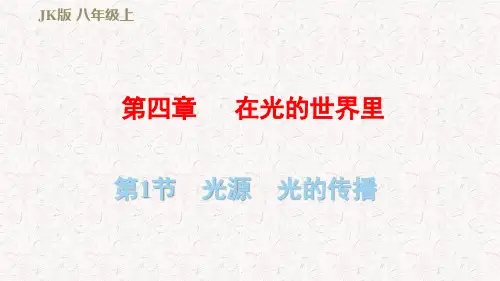 教科版八年级物理上册期末复习课件第四章 在光的世界里