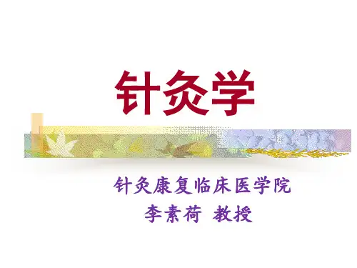 针灸学 1针灸学经络总论