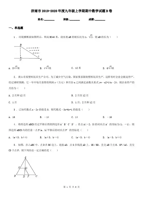 济南市2019-2020年度九年级上学期期中数学试题B卷