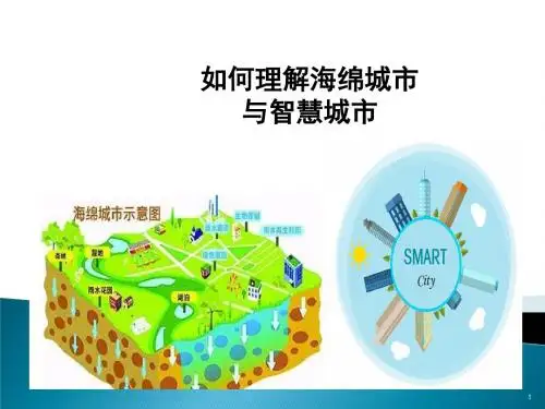 海绵城市与智慧城市介绍ppt课件