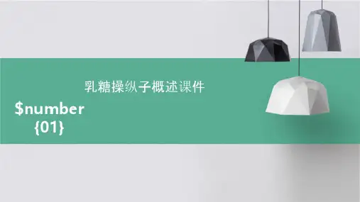 乳糖操纵子概述课件