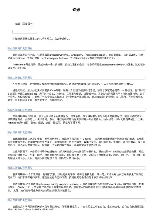 蝾螈——精选推荐