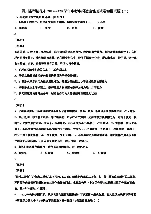 四川省攀枝花市2019-2020学年中考中招适应性测试卷物理试题(2)含解析