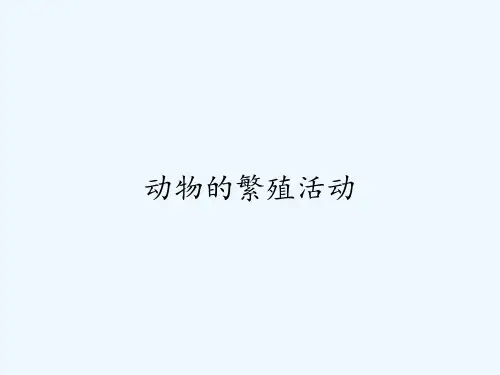 动物的繁殖活动