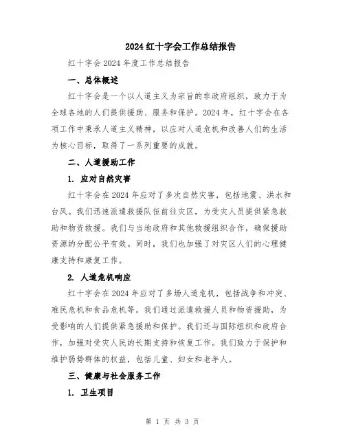 2024红十字会工作总结报告