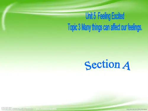 【最新】仁爱版八年级英语下册Unit 5  Feeling Excited Topic 3  Section A课件(21张ppt)