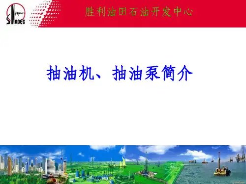 《抽油机和抽油泵》PPT课件