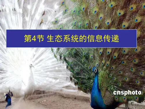高中生物《第五章 第四节 生态系统的信息传递》课件 新人教版必修3