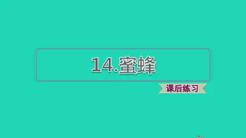 2022三年级语文下册第4单元第14课蜜蜂课后练习课件1新人教版