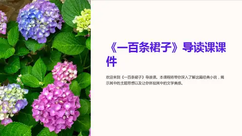 《一百条裙子》导读课课件
