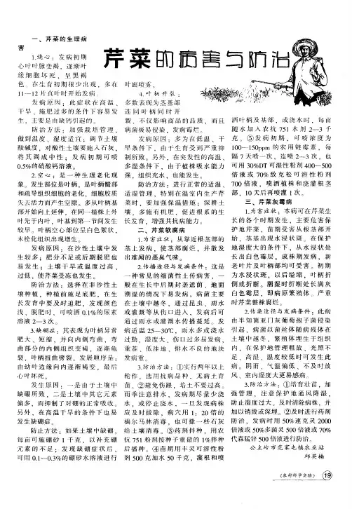 芹菜的病害与防治