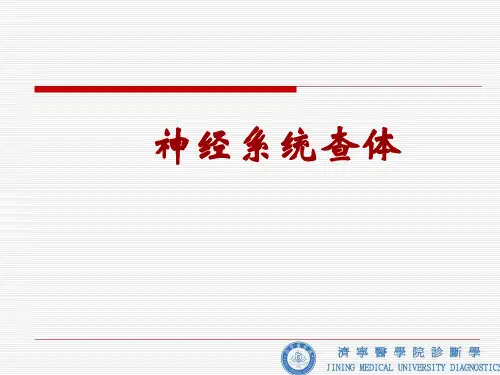 神经反射