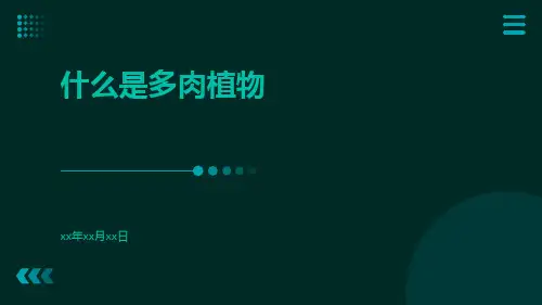 什么是多肉植物