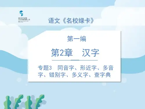 部编版六年级语文下册专题3  同音字、形近字、多音字、错别字、多义字、查字典