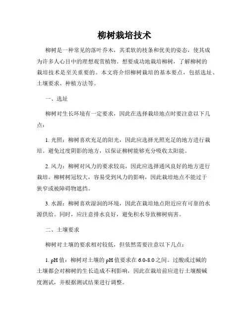 柳树栽培技术