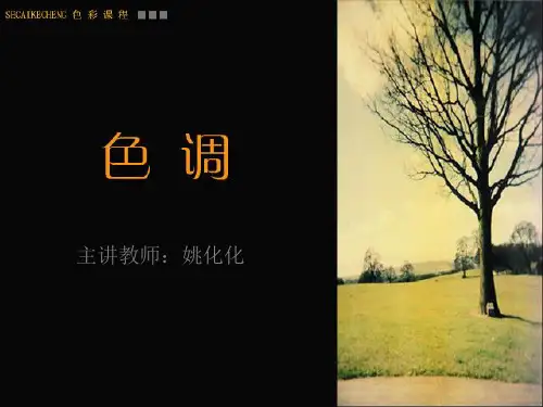 色彩课程第二讲——色调