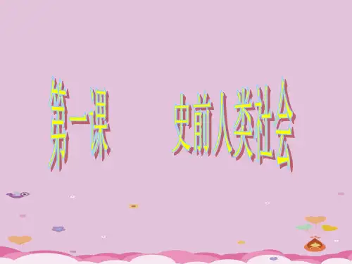 史前人类社会ppt1 华东师大版优秀课件