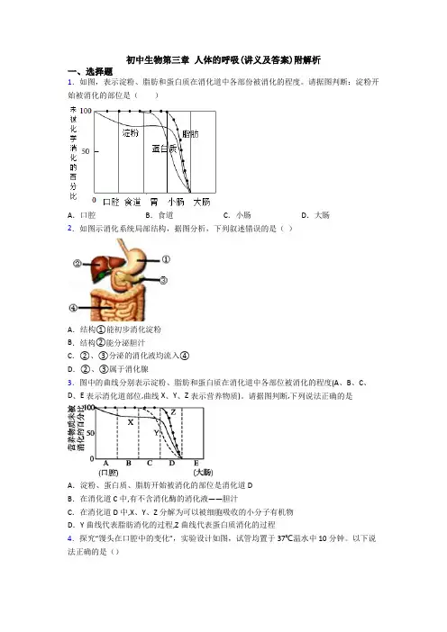 初中生物第三章 人体的呼吸(讲义及答案)附解析
