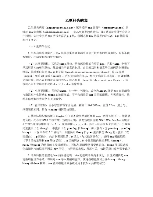 乙型肝炎病毒