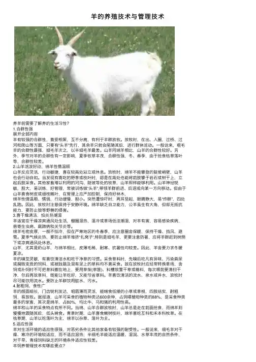 羊的养殖技术与管理技术