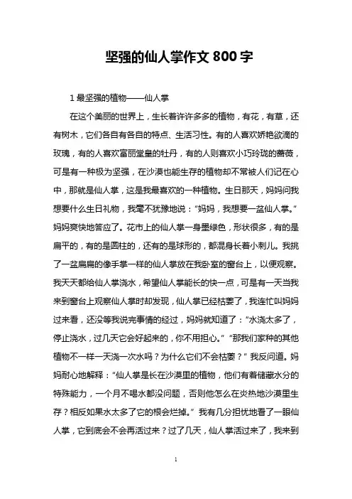 坚强的仙人掌作文800字