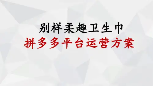 拼多多运营方案 ppt课件