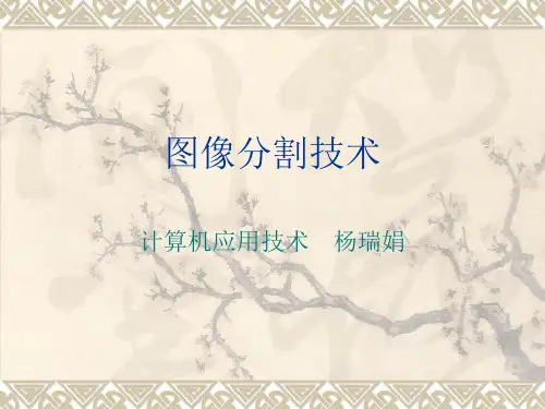 图像分割技术 PPT