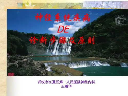 神经系统疾病的诊断步骤及原则
