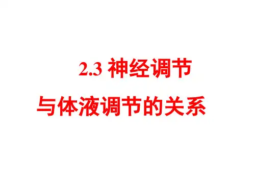 人教版高中生物必修3课件：2.3 神经调节与体液调节的关系(1)高中生物精品公开课