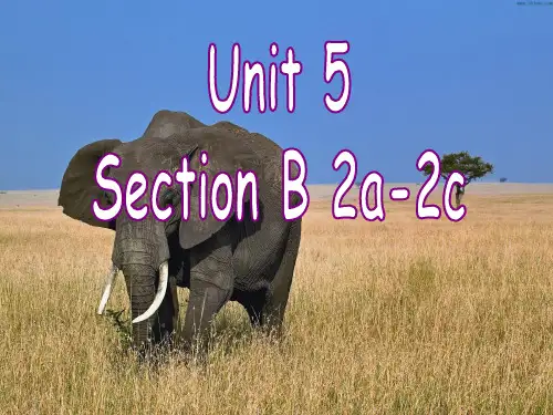 2020-2021学年人教版英语七年级下册 Unit5 Section B 2a-2c 课件 