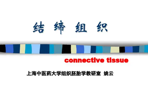 结缔组织