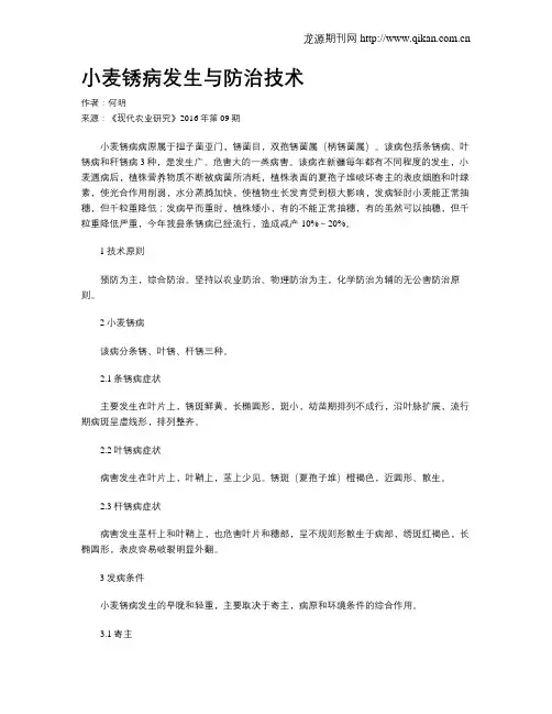 小麦锈病发生与防治技术